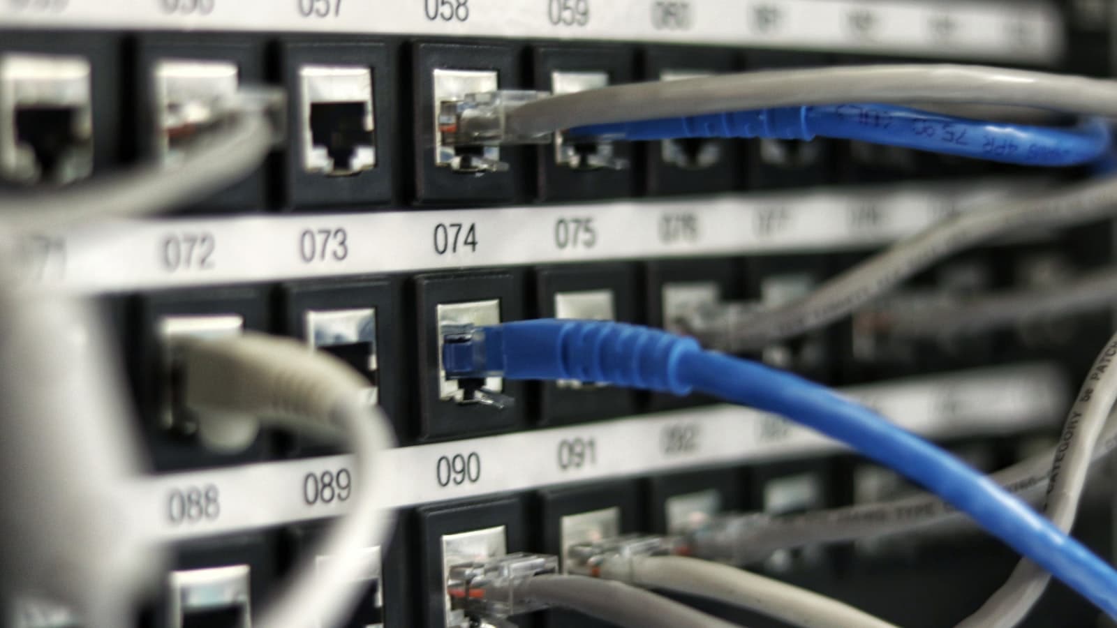 Network switch with patch cables plugged in